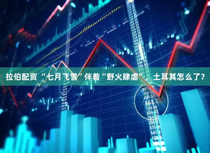 拉伯配资 “七月飞雪”伴着“野火肆虐”，土耳其怎么了？
