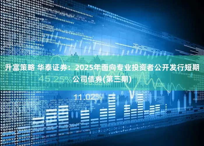 升富策略 华泰证券：2025年面向专业投资者公开发行短期公司债券(第三期)